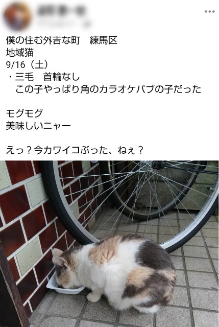 f:id:earth720105:20250502193652j:image