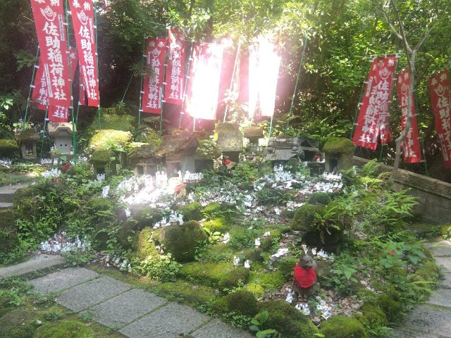 f:id:earth720105:20250502200434j:image