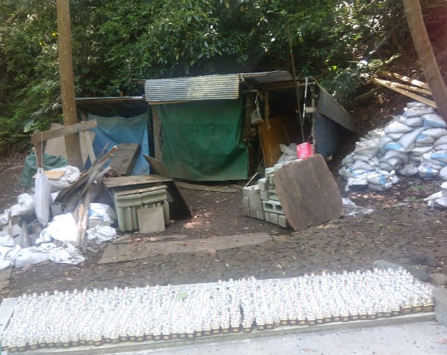 f:id:earth720105:20250502200522j:image