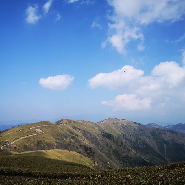 f:id:earth8888nana:20190424102653j:image f:id:earth8888nana:20190424102653j:image