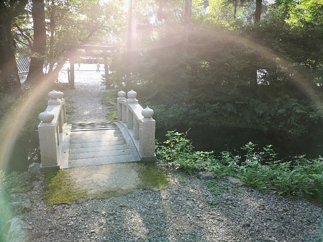 f:id:earth8888nana:20190826172804j:image f:id:earth8888nana:20190826172804j:image