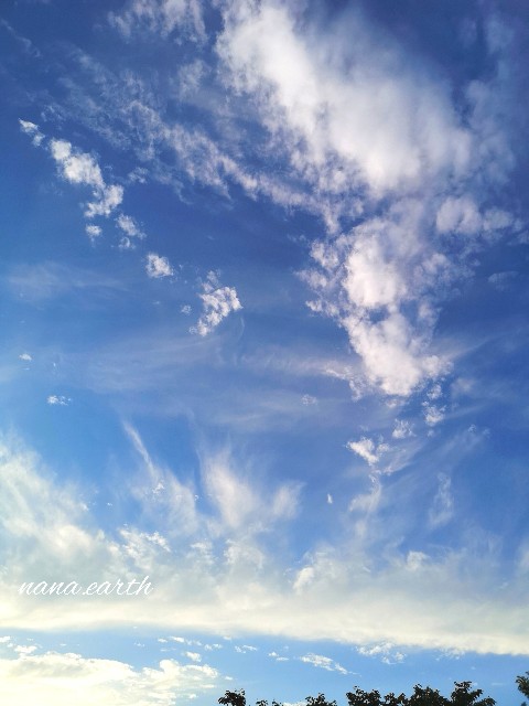 f:id:earth8888nana:20220108123142j:image f:id:earth8888nana:20220108123142j:image