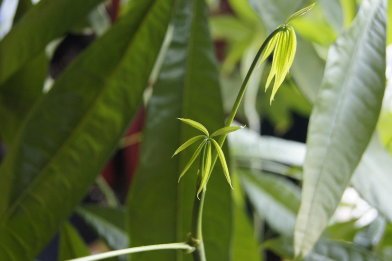 f:id:earthlab:20130412123510j:image f:id:earthlab:20130412123510j:image