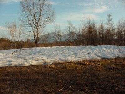 f:id:earthspiral:20090410012252j:image