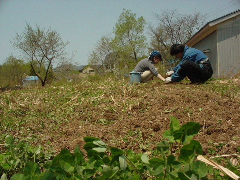 f:id:earthspiral:20090508184409j:image