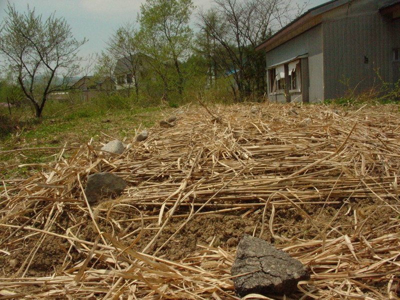 f:id:earthspiral:20090509203828j:image