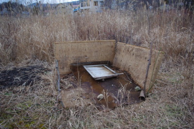 f:id:earthspiral:20091209155018j:image:left
