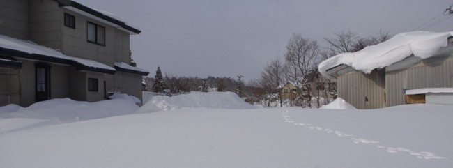 f:id:earthspiral:20100110100310j:image f:id:earthspiral:20100110100310j:image