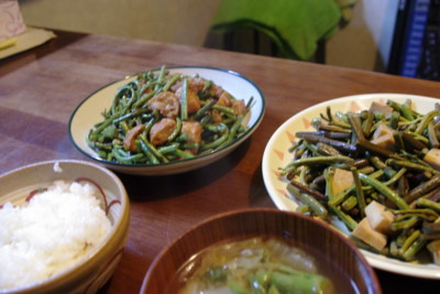 f:id:earthspiral:20100131184924j:image