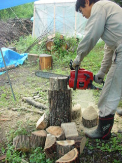 f:id:earthspiral:20100622181747j:image