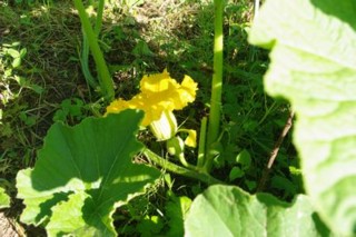 f:id:earthspiral:20100719075012j:image