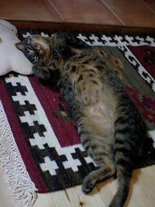 f:id:earthspiral:20101209200641j:image
