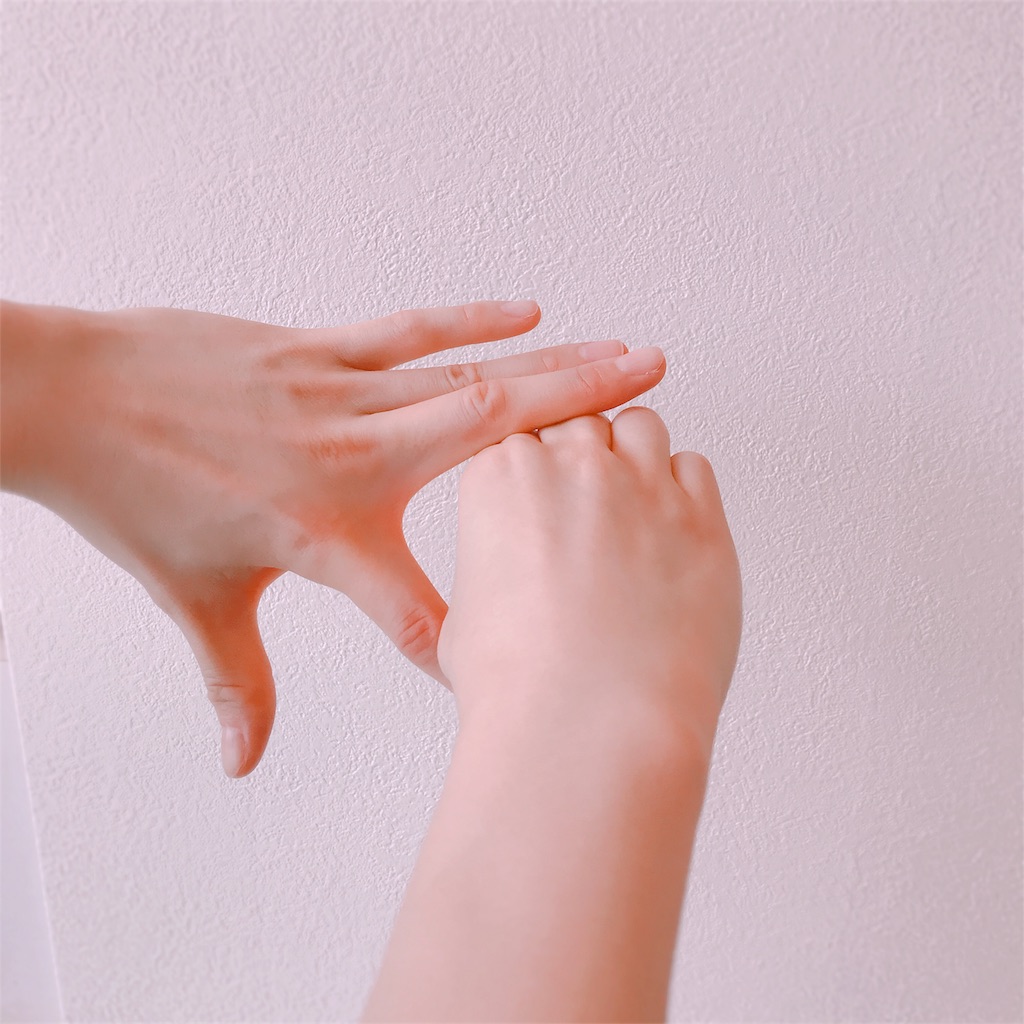 f:id:ease-sango:20180822103907j:image