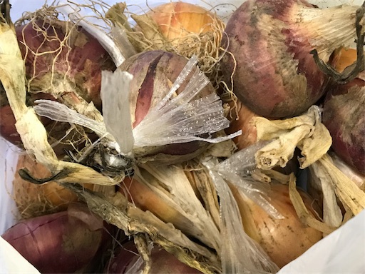 f:id:east-phila:20180702190705j:image