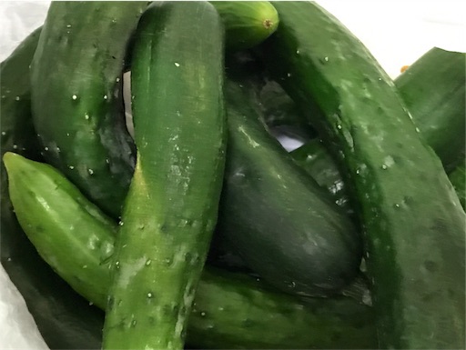 f:id:east-phila:20180702190709j:image