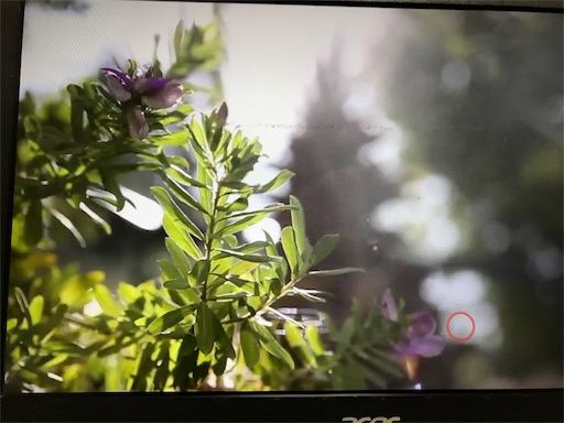 f:id:east-phila:20181202212453j:image