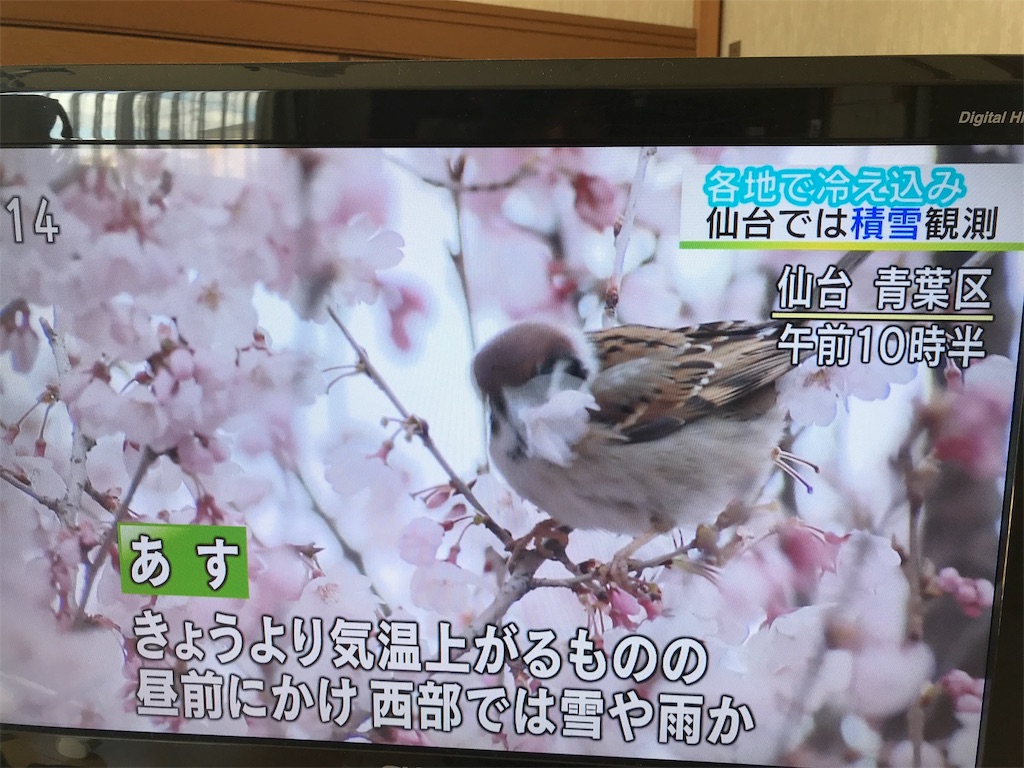 f:id:east-phila:20190403125133j:image