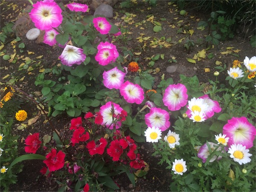 f:id:east-phila:20190530115145j:image