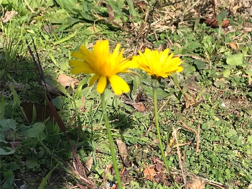 f:id:east-phila:20191108090014j:image