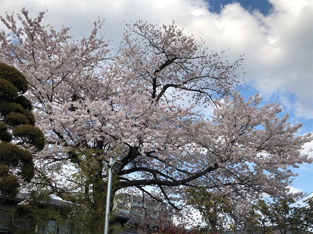 f:id:east-phila:20200409141018j:image