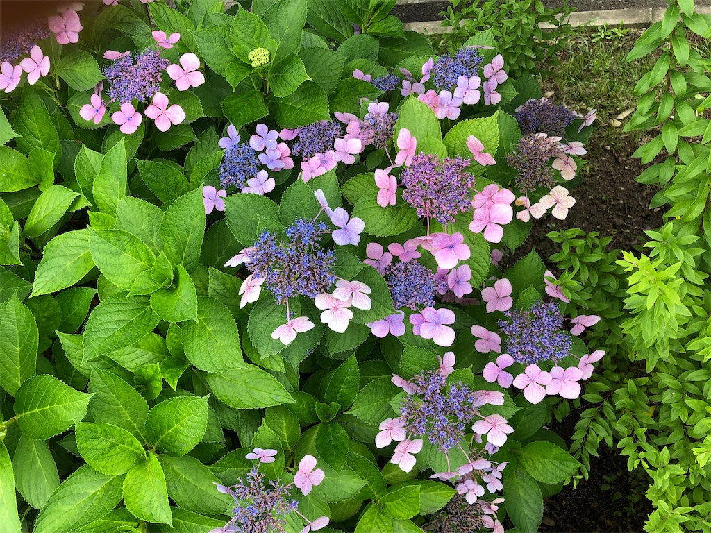 f:id:east-phila:20200723130638j:image f:id:east-phila:20200723130638j:image