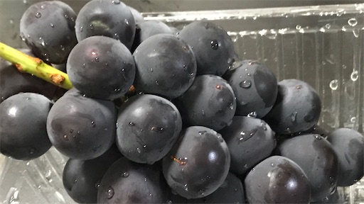 f:id:east-phila:20200821080113j:image