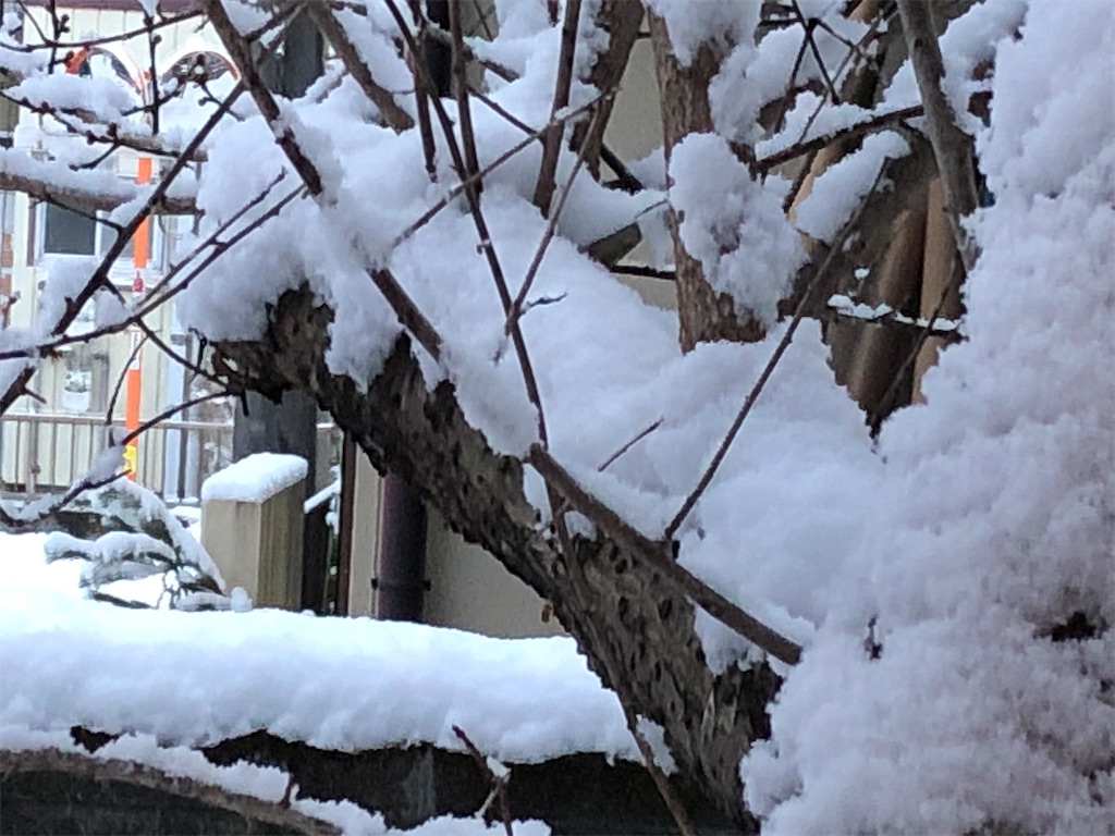 f:id:east-phila:20210102141027j:image f:id:east-phila:20210102141027j:image