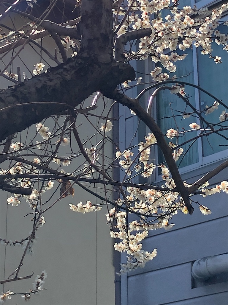 f:id:east-phila:20210311145337j:image f:id:east-phila:20210311145337j:image