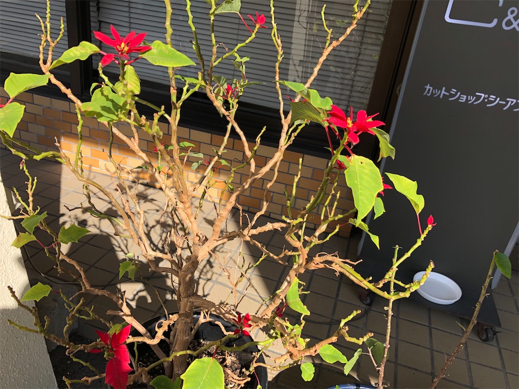 f:id:east-phila:20210311150500j:image f:id:east-phila:20210311150500j:image