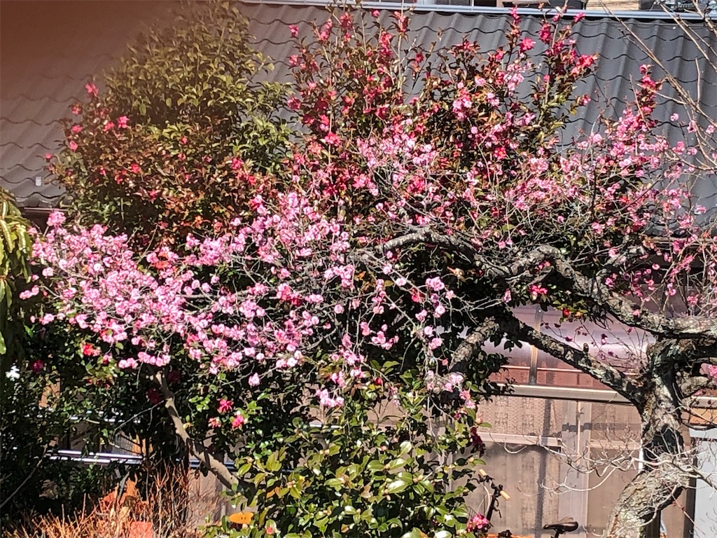 f:id:east-phila:20210325131606j:image f:id:east-phila:20210325131606j:image