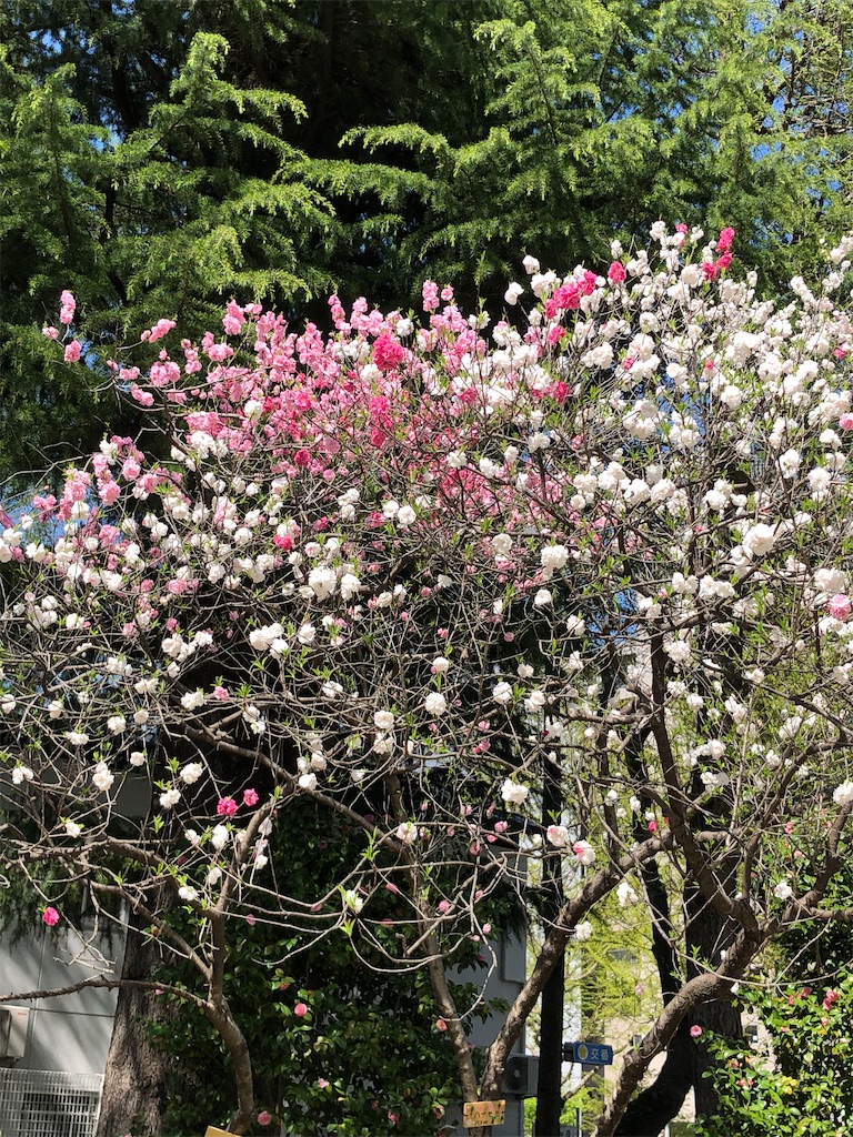 f:id:east-phila:20210422140359j:image f:id:east-phila:20210422140359j:image