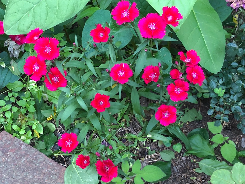 f:id:east-phila:20210527161651j:image