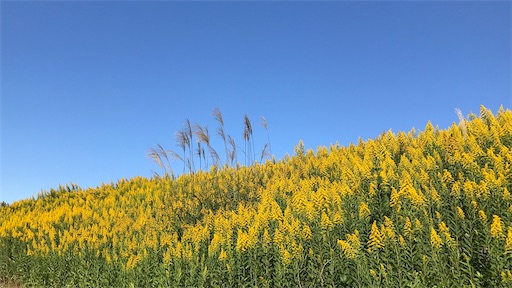 f:id:east-phila:20211021075256j:image