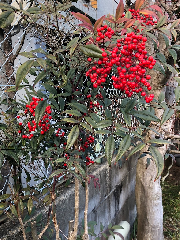 f:id:east-phila:20220225111653j:image f:id:east-phila:20220225111653j:image