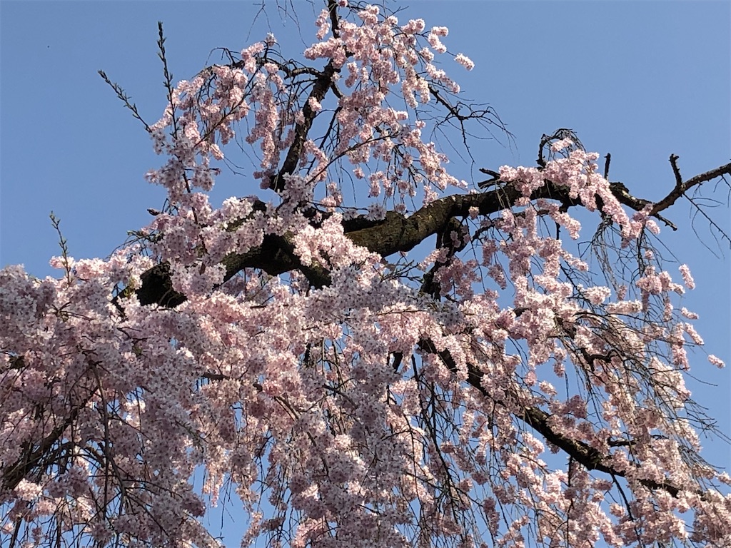 f:id:east-phila:20220414131549j:image f:id:east-phila:20220414131549j:image