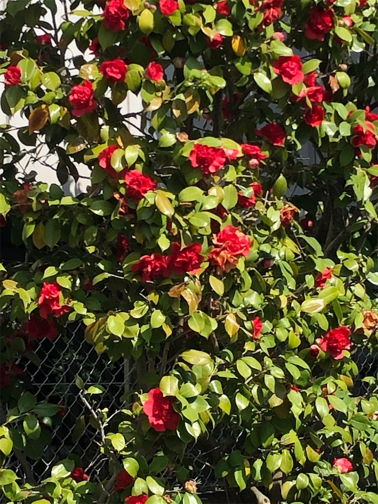 f:id:east-phila:20220414131558j:image f:id:east-phila:20220414131558j:image