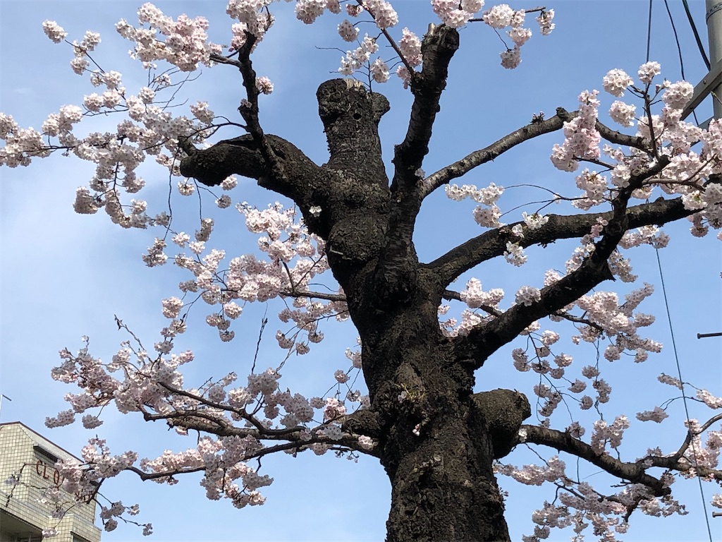 f:id:east-phila:20220414132650j:image f:id:east-phila:20220414132650j:image