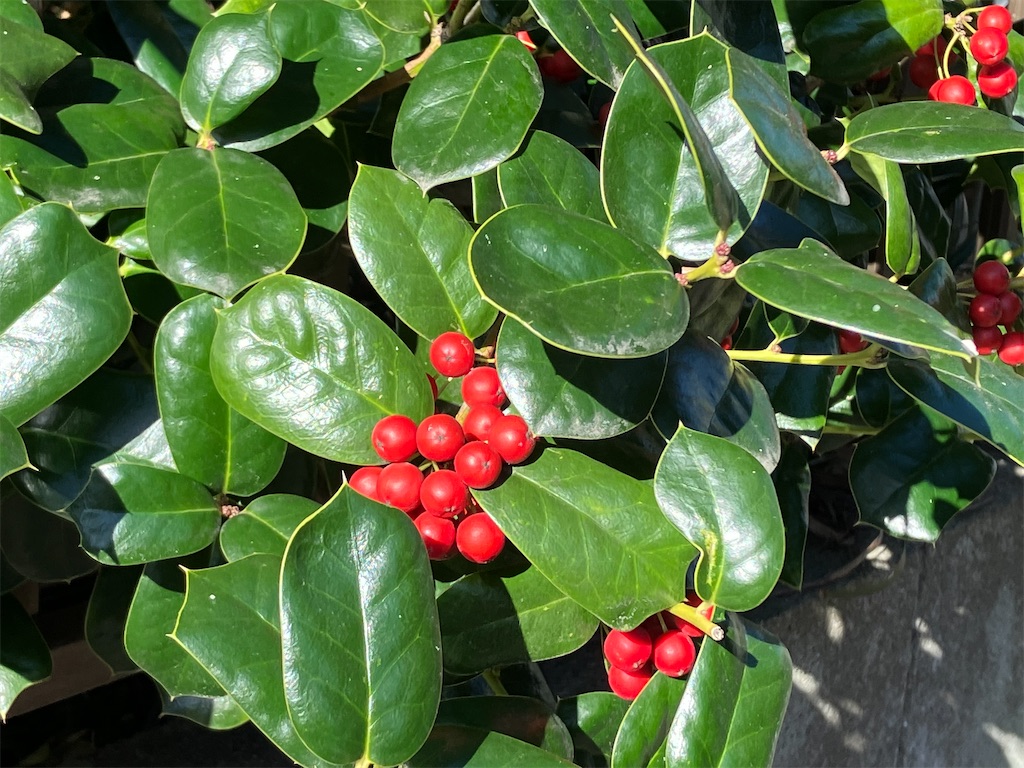 f:id:east-phila:20221208125936j:image