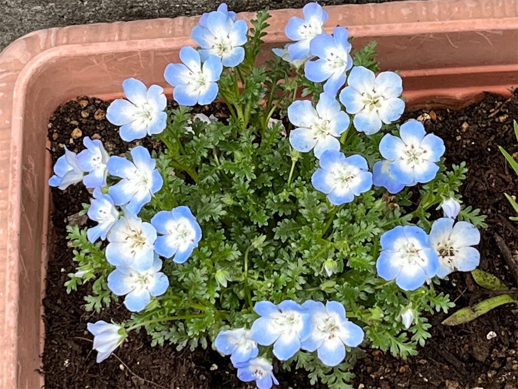 f:id:east-phila:20230413135538j:image