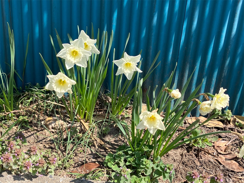 f:id:east-phila:20230413141415j:image