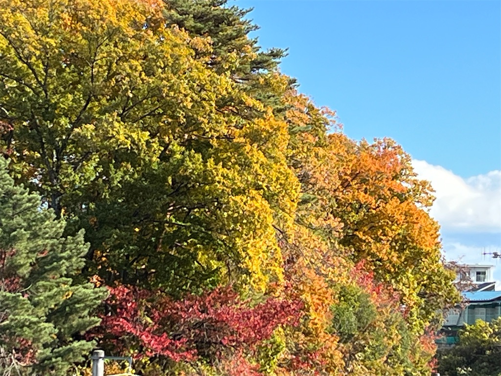 f:id:east-phila:20231126100308j:image