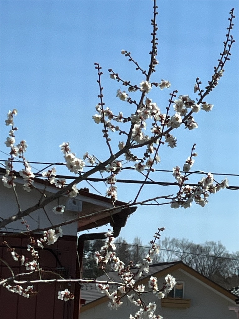 f:id:east-phila:20250318170416j:image