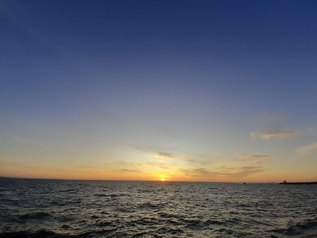 f:id:easternforest:20200217155344j:plain f:id:easternforest:20200217155344j:plain