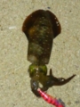 20161022191507