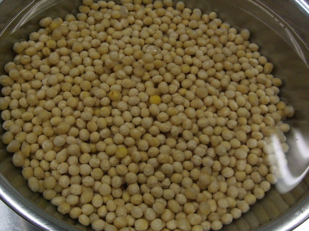 f:id:easttotuka:20180211154535p:plain