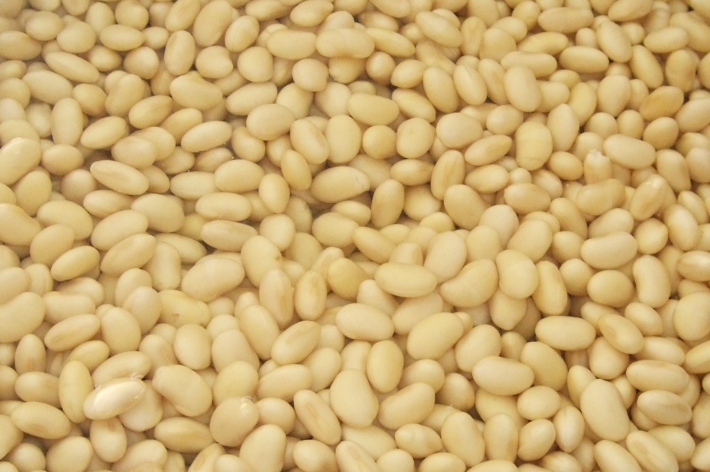 f:id:easttotuka:20180211155015p:plain