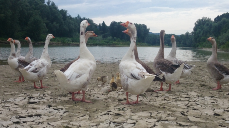 f:id:eastwindow18:20140707174128j:plain f:id:eastwindow18:20140707174128j:plain