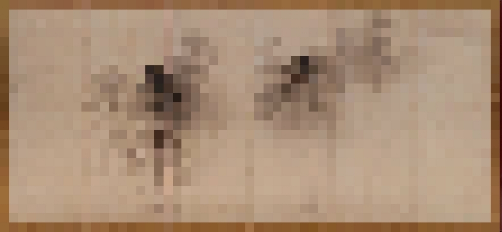 f:id:eastwindow18:20180820145116j:plain