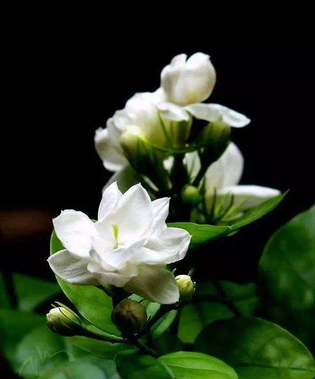 f:id:easymandarin:20200512164627j:plain