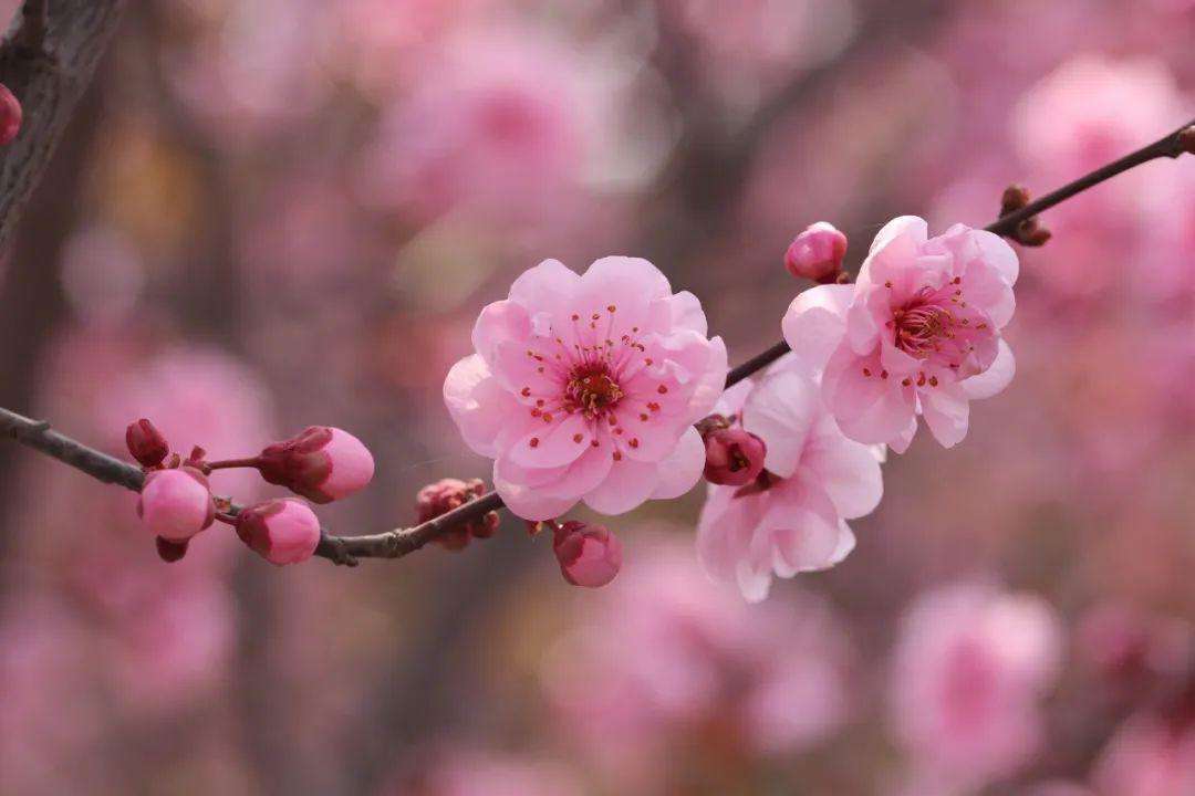 f:id:easymandarin:20200512171940j:plain